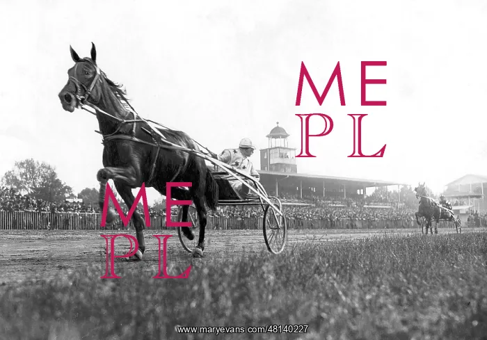 : Equestrian sport : Equestrian sport