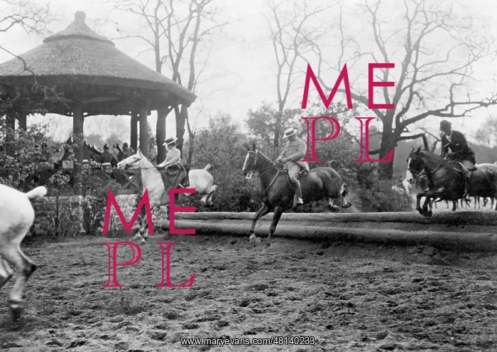 : Equestrian sport : Equestrian sport