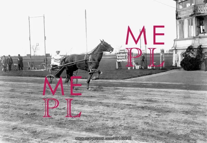 : Equestrian sport : Equestrian sport