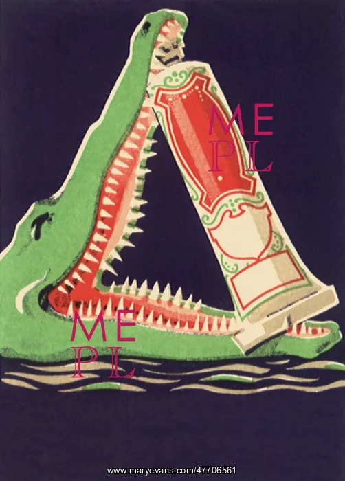  : Erasmic