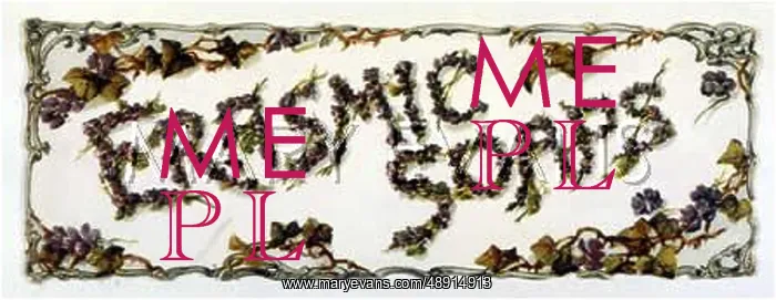: ERASMIC SOAP ADVERT : ERASMIC SOAP ADVERT