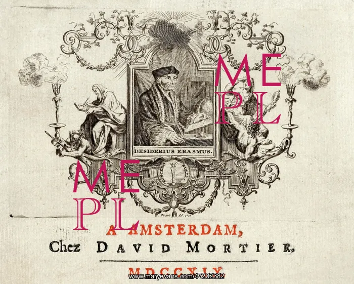 : ERASMUS / DAVID MORTIER : ERASMUS / DAVID MORTIER