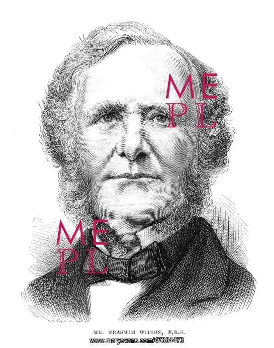  : Erasmus Wilson