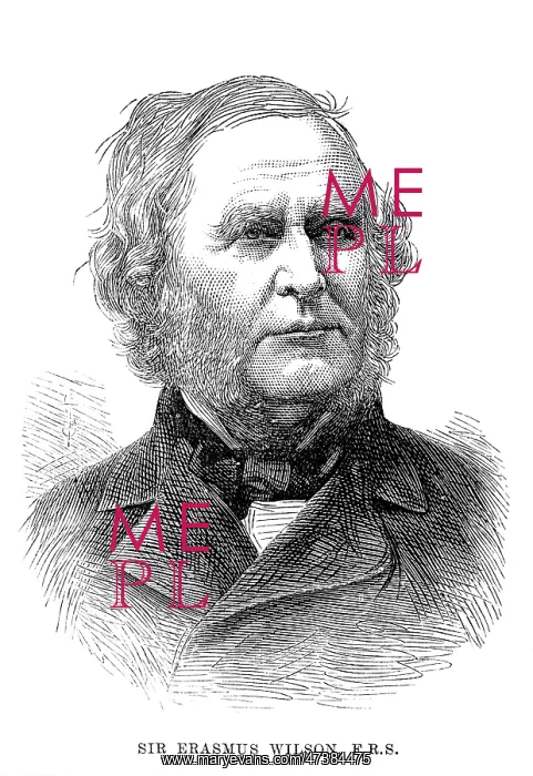 : ERASMUS WILSON : ERASMUS WILSON