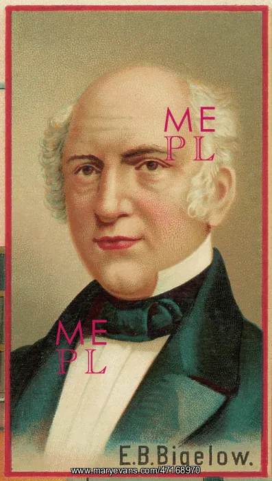 : Erastus Brigham Bigelow : Erastus Brigham Bigelow