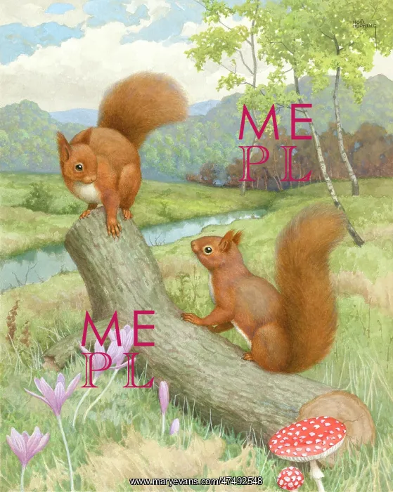 : Two erd squirrels on a tree trunk by a river : Two erd squirrels on a tree trunk by a river