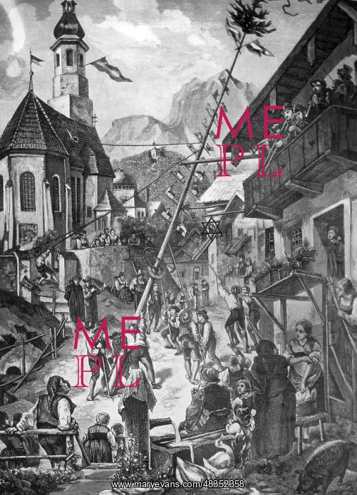 : Erecting the maypole : Erecting the maypole