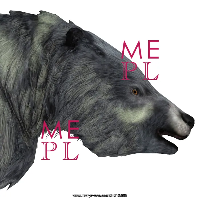 : Eremotherium portrait on white background : Eremotherium portrait on white background