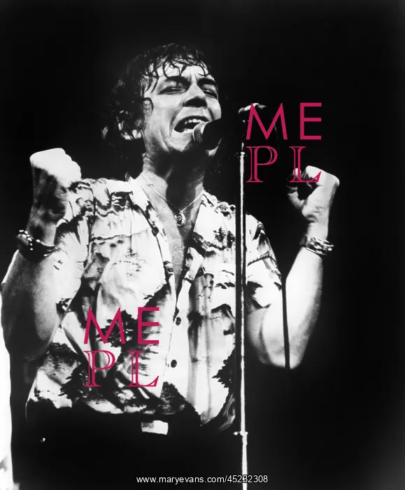 : ERIC BURDON in concert. ? : ERIC BURDON in concert. ?