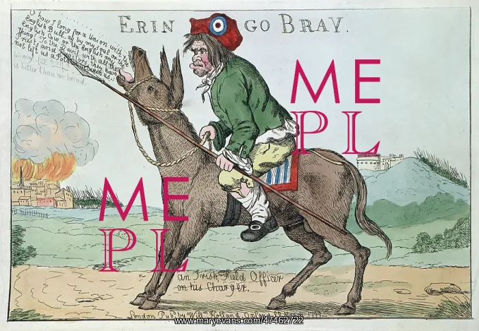 : Erin go bray : Erin go bray