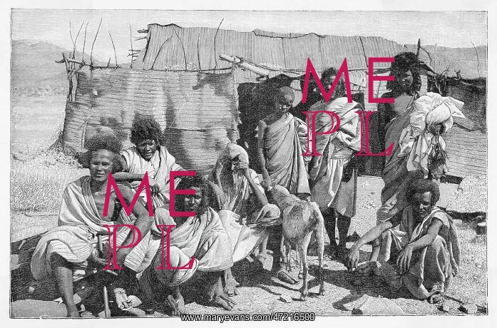  : ERITREAN GROUP 1895