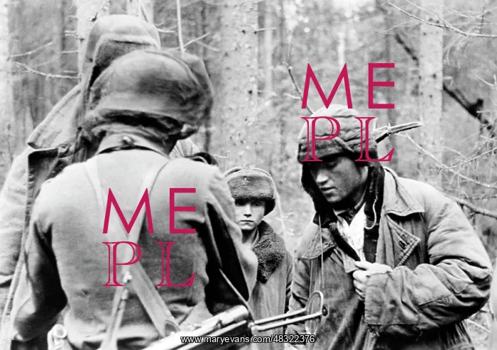 : ermacht in the fight against partisans, 1942 : ermacht in the fight against partisans, 1942