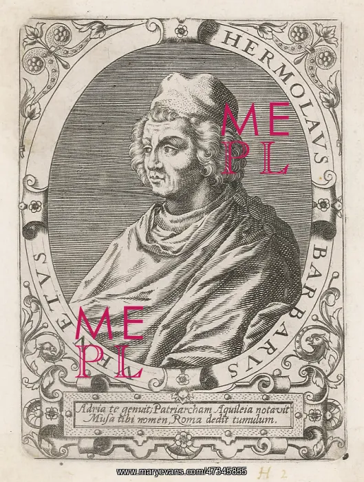  : Ermolao Barbaro