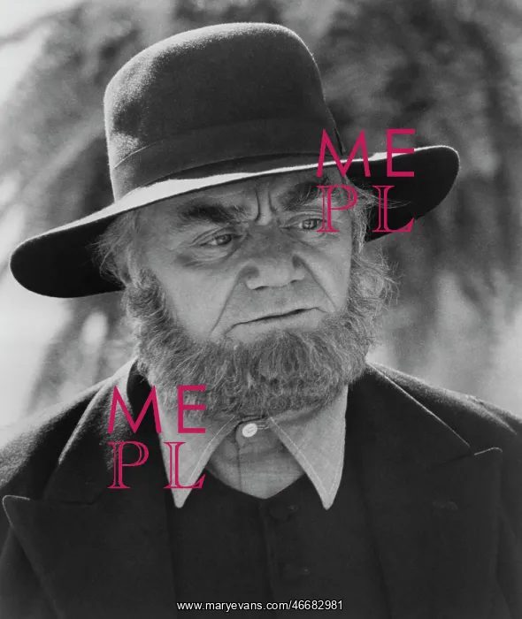 : Ernest Borgnine - Actor : Ernest Borgnine - Actor