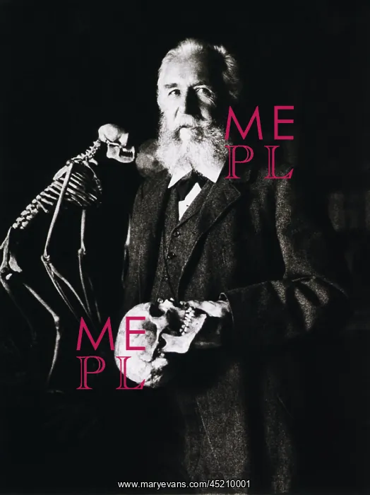: Ernest Haeckel (1834-1919) standing beside ? : Ernest Haeckel (1834-1919) standing beside ?