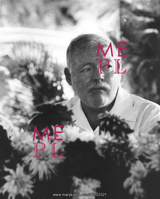 : Ernest Hemingway, American author : Ernest Hemingway, American author