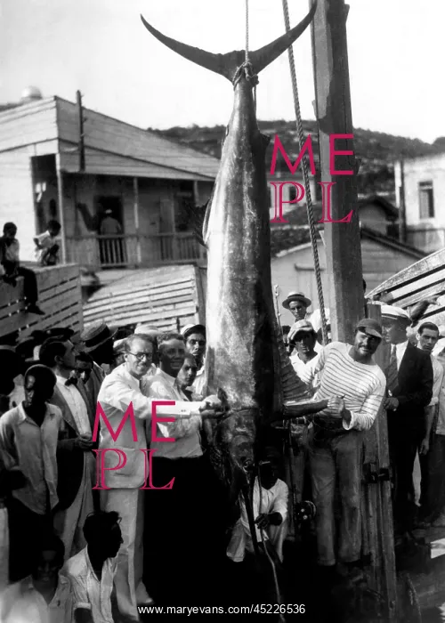 : Ernest Hemingway (right) with a record breaking ? : Ernest Hemingway (right) with a record breaking ?