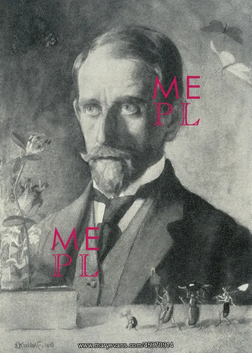 : Ernst Kreidolf : Ernst Kreidolf