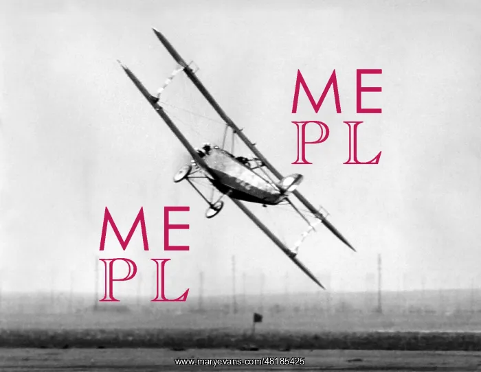 : Ernst Udet : Ernst Udet
