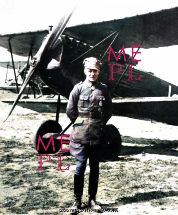 : Ernst Udet, German pilot and fighter ace : Ernst Udet, German pilot and fighter ace