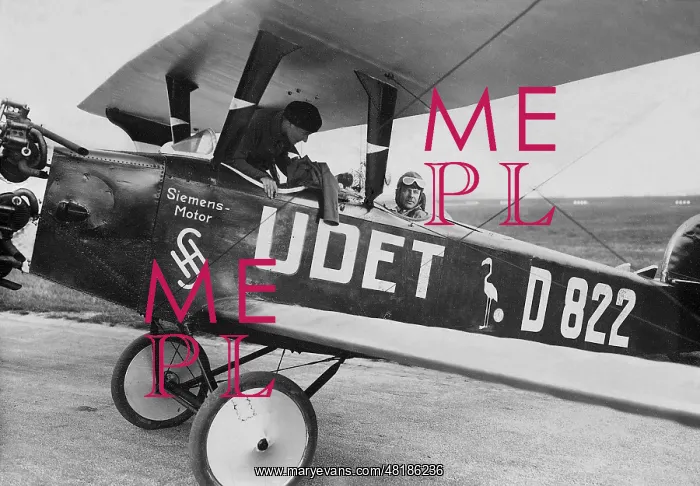 : Ernst Udet in his Udet Flamingo, 1927 : Ernst Udet in his Udet Flamingo, 1927