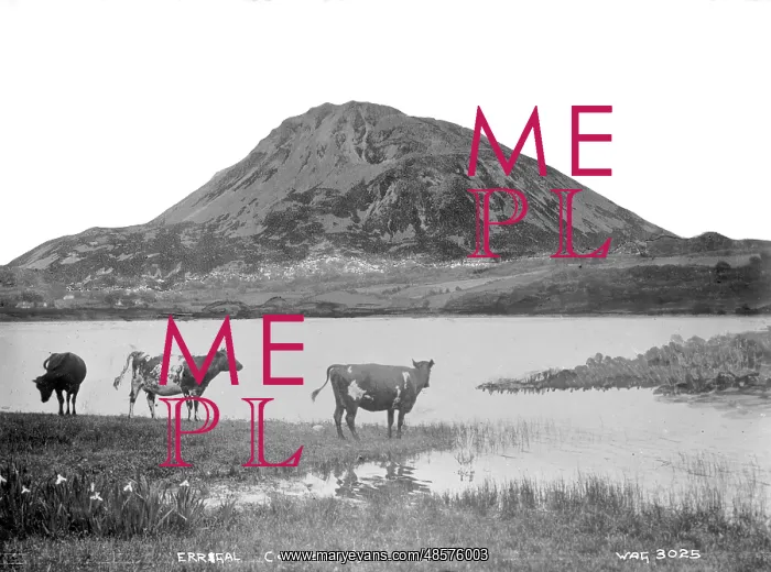: Errigal (Composite) a Composite View of the Errigal : Errigal (Composite) a Composite View of the Errigal
