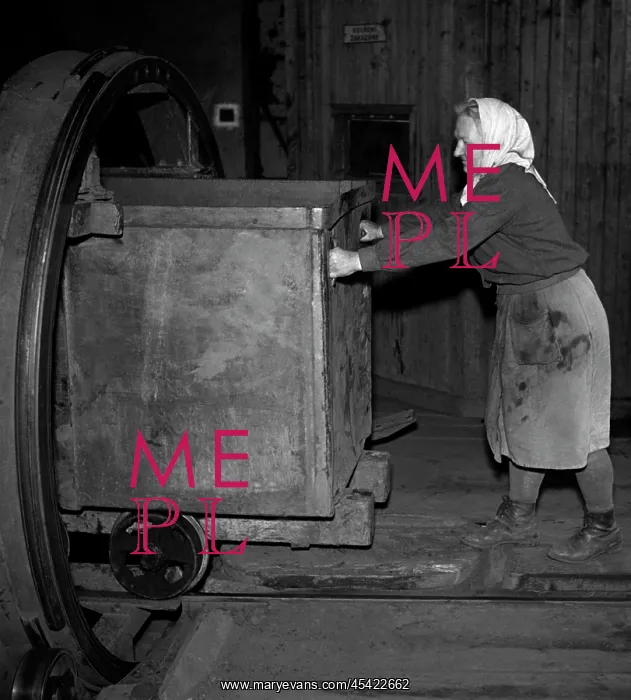 : Ervenice - Czechoslovakia, 1950. Woman participates in back breaking work : Ervenice - Czechoslovakia, 1950. Woman participates in back breaking work
