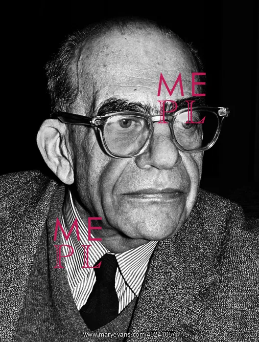 : Erwin Panofsky : Erwin Panofsky