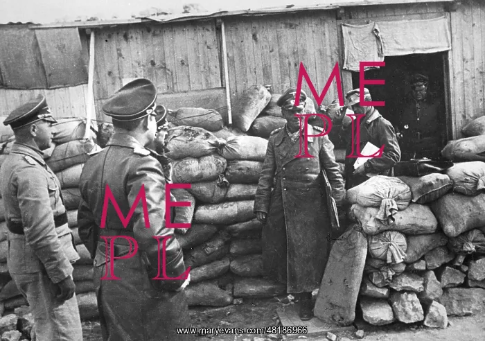 : Erwin Rommel in Africa, 1942 : Erwin Rommel in Africa, 1942