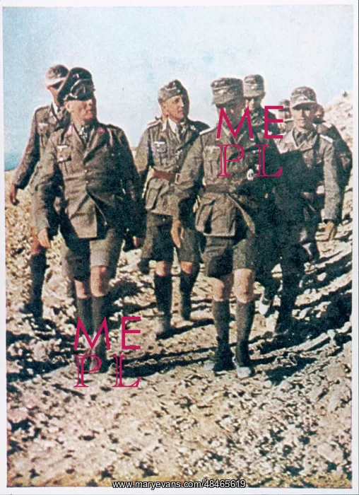 : ERWIN ROMMEL / AFRIKA KORP : ERWIN ROMMEL / AFRIKA KORP