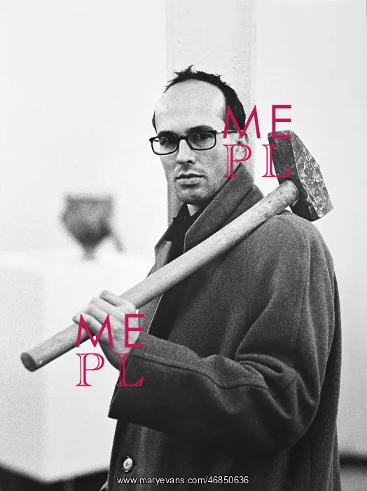 : Erwin Wurm : Erwin Wurm
