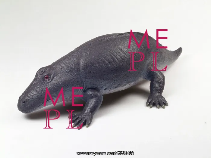 : Eryops model : Eryops model