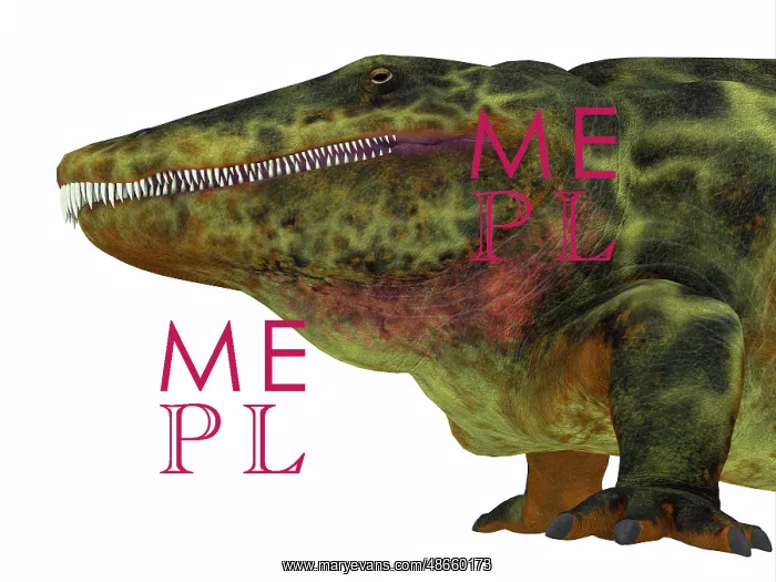 : Eryops portrait : Eryops portrait