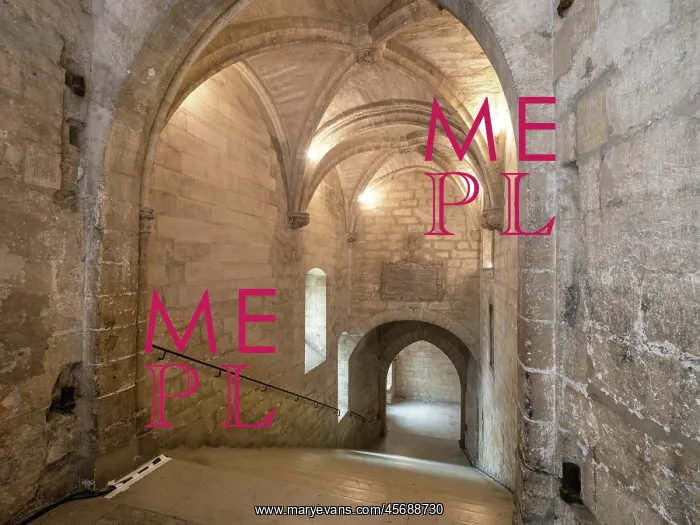 : Escalier d'Honneur, Palais des Papes, Avignon, Provence : Escalier d'Honneur, Palais des Papes, Avignon, Provence