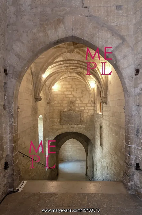 : Escalier d'Honneur, Palais des Papes, Avignon, Provence : Escalier d'Honneur, Palais des Papes, Avignon, Provence