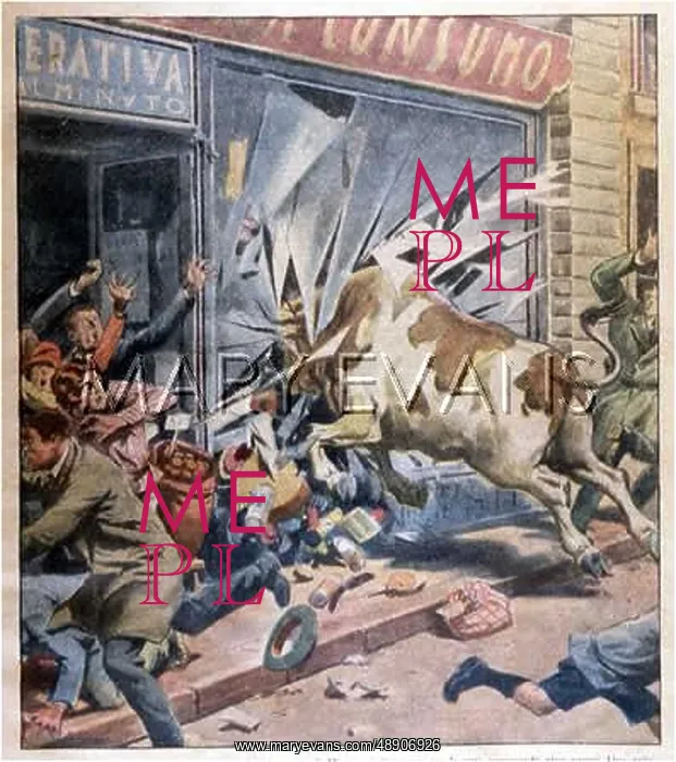 : ESCAPED BULL RUNS AMOK : ESCAPED BULL RUNS AMOK