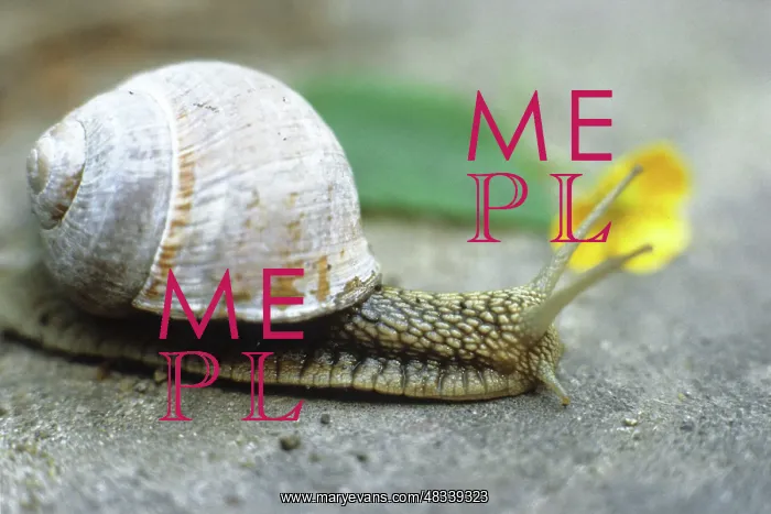 : Escargot, 1986 : Escargot, 1986