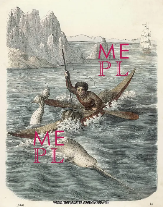  : ESKIMO HUNTS A NARWHAL
