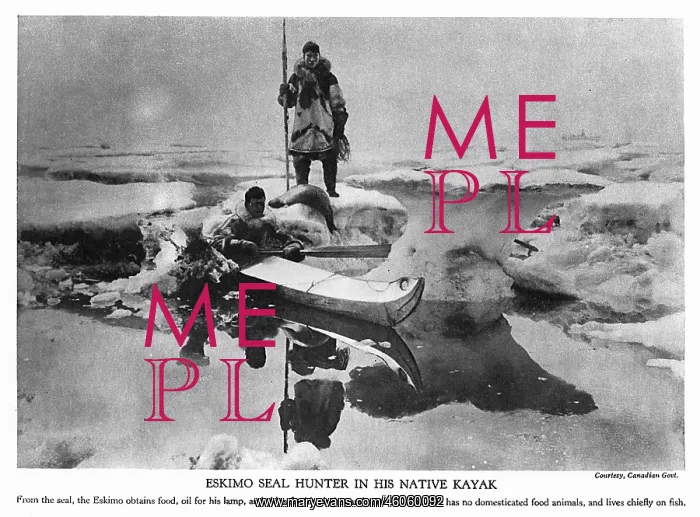 : Eskimo seal hunter : Eskimo seal hunter