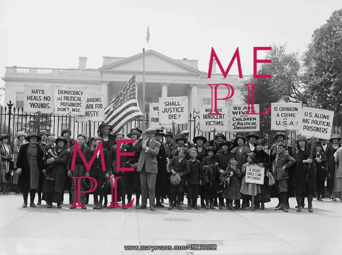 : The Espionage Act of 1917 and Sedition Act ? : The Espionage Act of 1917 and Sedition Act ?