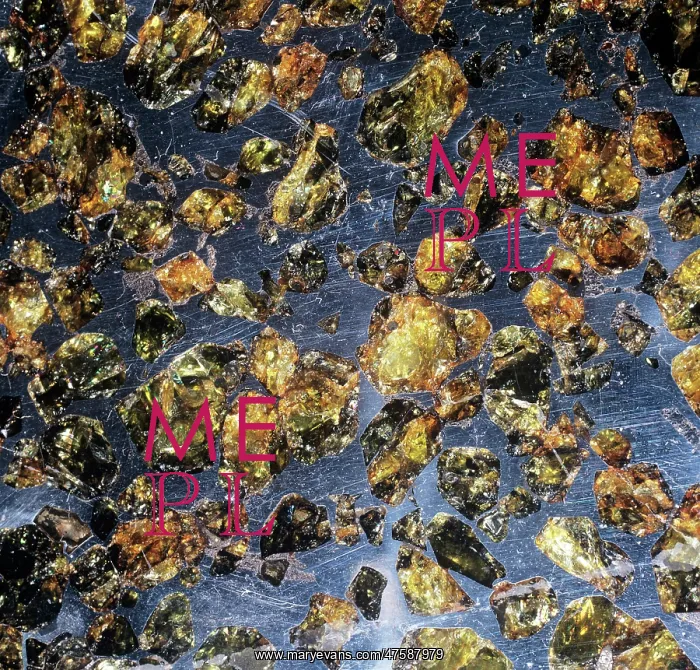 : The Esquel pallasite : The Esquel pallasite
