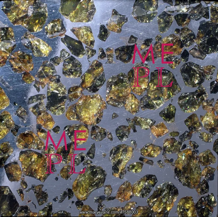 : The Esquel pallasite : The Esquel pallasite