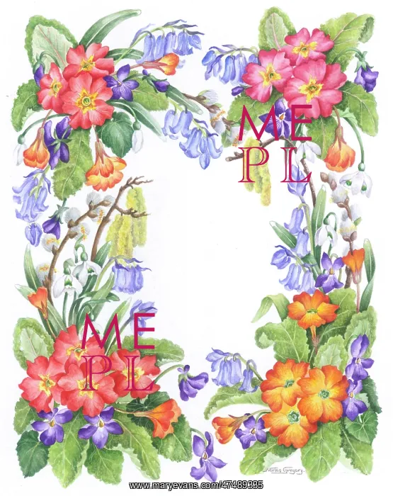 : Essence Of Springtime - floral border : Essence Of Springtime - floral border