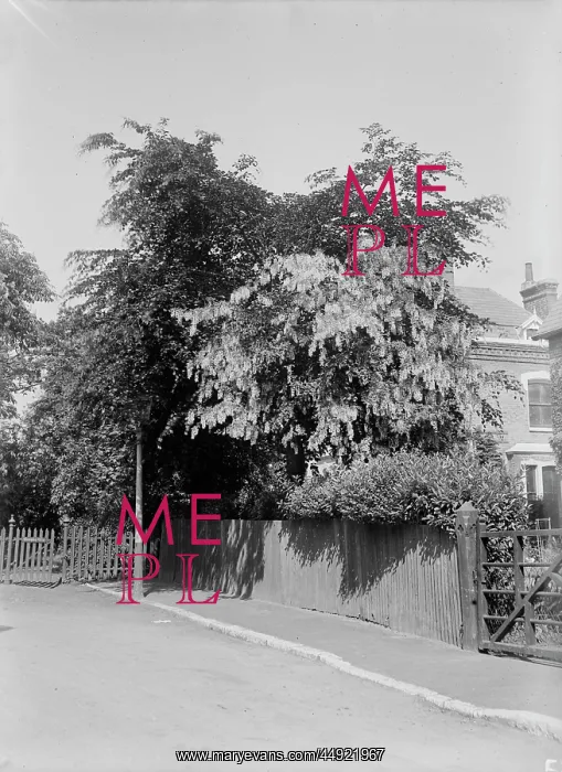 : Essenden Road, Belvedere : Essenden Road, Belvedere