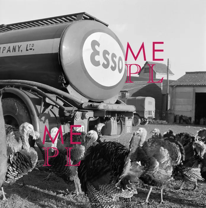 : Esso Tanker : Esso Tanker