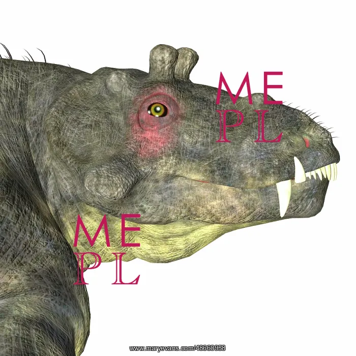 : Estemmenosuchus dinosaur head : Estemmenosuchus dinosaur head