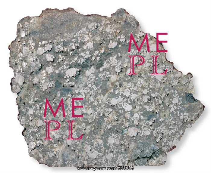 : The Estherville mesosiderate : The Estherville mesosiderate