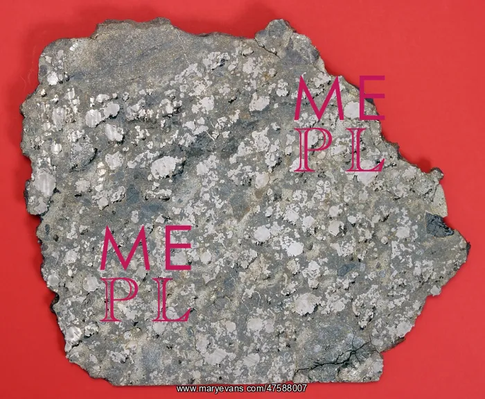 : The Estherville mesosiderite : The Estherville mesosiderite