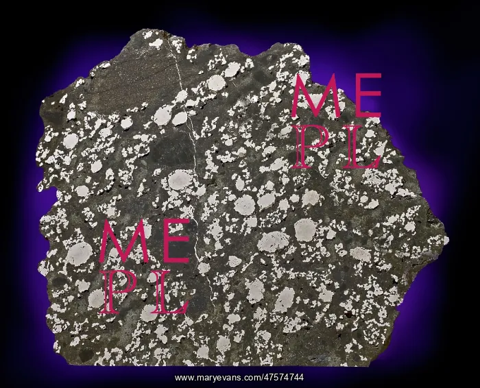 : Estherville Meteorite : Estherville Meteorite