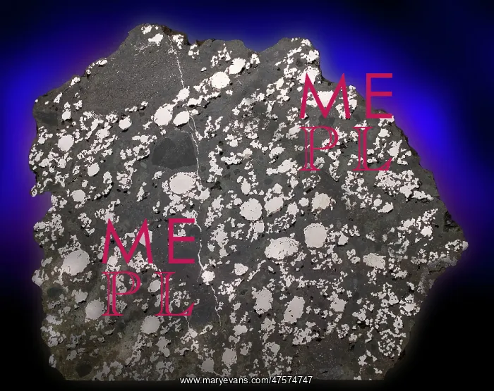 : Estherville Meteorite : Estherville Meteorite